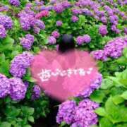 ヒメ日記 2025/12/09 12:05 投稿 むう 宮崎ちゃんこ都城店