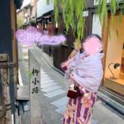 ゼゼラ　膳所魚 もう夜？！ 女の子市場