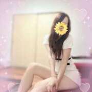 ヒメ日記 2026/01/31 15:15 投稿 体験なぎさ ACCENT[アクセントグループ]