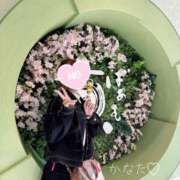 ヒメ日記 2026/02/03 15:09 投稿 かなた★清楚系の最高到達点★ 渋谷S級素人清楚系デリヘル chloe