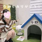 ヒメ日記 2026/03/06 23:09 投稿 かなた★清楚系の最高到達点★ 渋谷S級素人清楚系デリヘル chloe