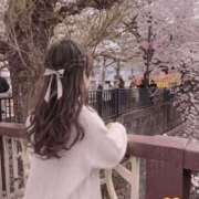 かなた★清楚系の最高到達点★ Sorry😭💦 渋谷S級素人清楚系デリヘル chloe