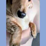 ヒメ日記 2025/12/07 10:22 投稿 環（たまき） 熟女の風俗最終章 名古屋店