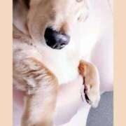 ヒメ日記 2025/12/09 08:52 投稿 環（たまき） 熟女の風俗最終章 名古屋店