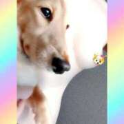 ヒメ日記 2025/12/13 14:22 投稿 環（たまき） 熟女の風俗最終章 名古屋店