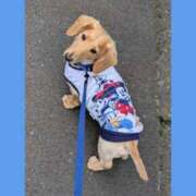 ヒメ日記 2025/12/14 02:32 投稿 環（たまき） 熟女の風俗最終章 名古屋店