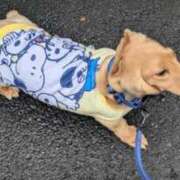 環（たまき） こんにちは！ 熟女の風俗最終章 名古屋店