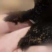 ヒメ日記 2025/12/07 03:16 投稿 ホナミ ラブコレクション