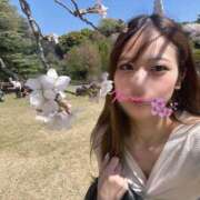 ヒメ日記 2026/04/03 15:10 投稿 くるみ ドンファン