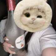 ヒメ日記 2026/02/03 02:02 投稿 もも Beauty Street