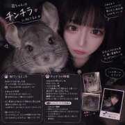 ヒメ日記 2026/09/18 18:33 投稿 ねる★激カワ黒髪童顔美少女 BEPPIN SELECTION 京都 ～べっぴんセレクション～