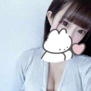 ヒメ日記 2025/12/19 07:31 投稿 メロナ きらめけ！にゃんにゃん学園in大宮