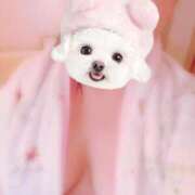 ヒメ日記 2026/03/12 15:48 投稿 ひみか 静岡駅前ちゃんこ