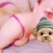 ヒメ日記 2026/03/16 12:17 投稿 ひみか 静岡駅前ちゃんこ