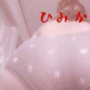 ヒメ日記 2026/04/14 10:18 投稿 ひみか 静岡駅前ちゃんこ