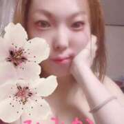 ヒメ日記 2026/04/14 18:58 投稿 ひみか 静岡駅前ちゃんこ