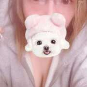 ひみか 19時から出勤しました✨️ 静岡駅前ちゃんこ