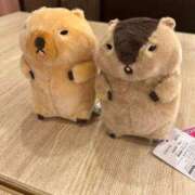 ヒメ日記 2026/01/25 02:12 投稿 れい あふたーすくーる本店