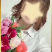 ヒメ日記 2026/02/11 10:40 投稿 小鳥遊 めい セカンドパートナー池袋