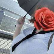 ヒメ日記 2026/04/06 06:30 投稿 小鳥遊 めい セカンドパートナー池袋