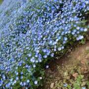 ヒメ日記 2026/04/06 12:30 投稿 つむぎ サンキュー沼津店（サンキューグループ）