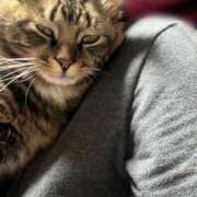 あいさ 明日出勤します(*^^*) 大高・大府市・東海市ちゃんこ