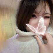 ヒメ日記 2025/12/11 07:30 投稿 れん ロイヤルフラッシュ