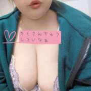 ヒメ日記 2026/02/17 12:43 投稿 さらん 乳野家