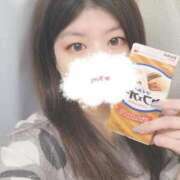 ヒメ日記 2026/04/02 09:37 投稿 いちか 東京リップ 渋谷店