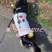 ヒメ日記 2026/03/23 18:10 投稿 おりな 熟女の風俗最終章 沼津店