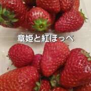 ヒメ日記 2026/03/27 15:58 投稿 おりな 熟女の風俗最終章 沼津店