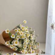 ヒメ日記 2025/12/12 14:01 投稿 ゆいか ふぞろいの人妻たち