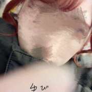 ヒメ日記 2025/12/26 15:51 投稿 ひな 秋葉原ハンドメイド