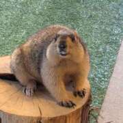 ヒメ日記 2025/12/10 10:32 投稿 たんたん スピードエコ難波店