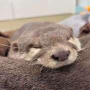 ヒメ日記 2025/12/17 09:32 投稿 たんたん スピードエコ難波店