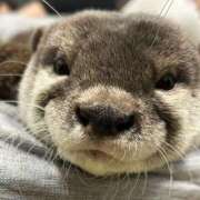 ヒメ日記 2025/12/17 15:02 投稿 たんたん スピードエコ難波店