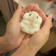 ヒメ日記 2025/12/20 01:32 投稿 たんたん スピードエコ難波店