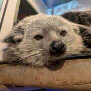 ヒメ日記 2026/03/15 23:42 投稿 たんたん スピードエコ難波店