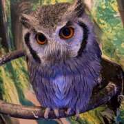 たんたん たんたん（エコ難波店） スピードエコ難波店