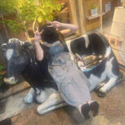 ヒメ日記 2025/12/06 06:03 投稿 える 女の子がセルフで撮影する店！！成田デリヘル『生パネル』伝説