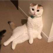 ヒメ日記 2026/01/06 17:16 投稿 深田（フカダ） アバンチュール(五反田)