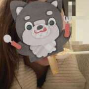 ヒメ日記 2026/03/11 15:14 投稿 みさ いざ候 別館