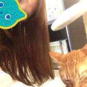 ヒメ日記 2026/03/18 21:34 投稿 みさ いざ候 別館