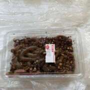 ヒメ日記 2025/12/05 10:38 投稿 あんず 熟女の風俗最終章 沼津店