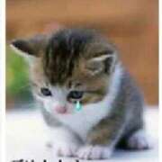 ヒメ日記 2025/12/07 11:48 投稿 あんず 熟女の風俗最終章 沼津店