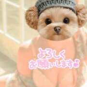 ヒメ日記 2025/12/10 08:29 投稿 あんず 熟女の風俗最終章 沼津店