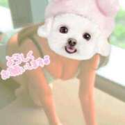 ヒメ日記 2025/12/11 06:38 投稿 あんず 熟女の風俗最終章 沼津店