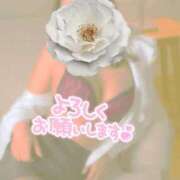 ヒメ日記 2025/12/11 07:04 投稿 あんず 熟女の風俗最終章 沼津店