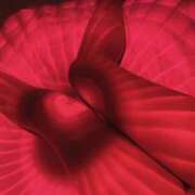 ヒメ日記 2025/12/23 22:01 投稿 せつな 東京リップ 秋葉原店