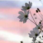 ヒメ日記 2026/02/28 06:35 投稿 あき ルピナス